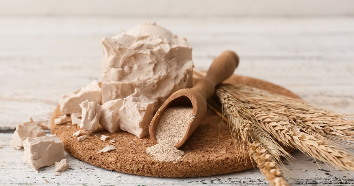 Levure fraîche ou levure sèche la différence entre les deux et celle à choisir pour vos recettes