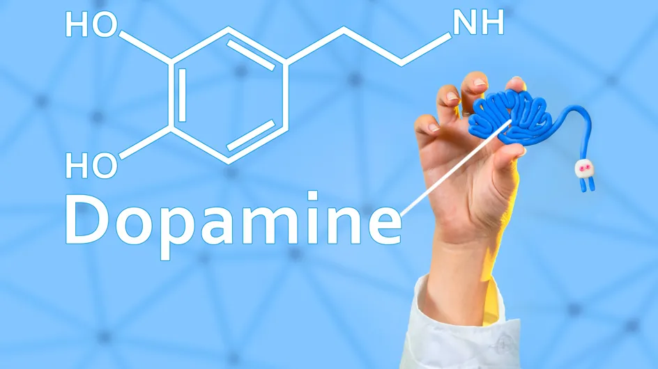 Toda la verdad sobre la dopamina: del placer al equilibrio en tu cerebro