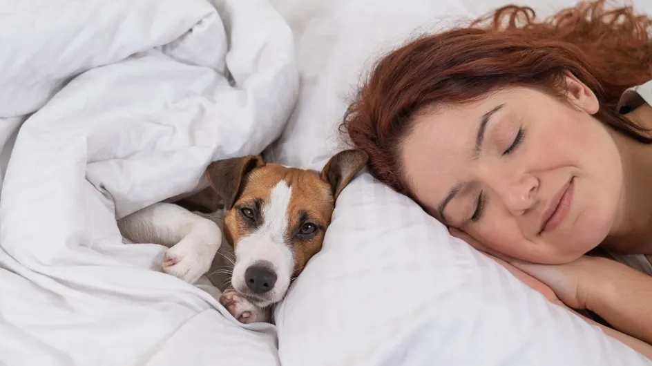 Vous ne devriez pas dormir avec votre animal de compagnie si vous faites partie de ces deux types de dormeurs