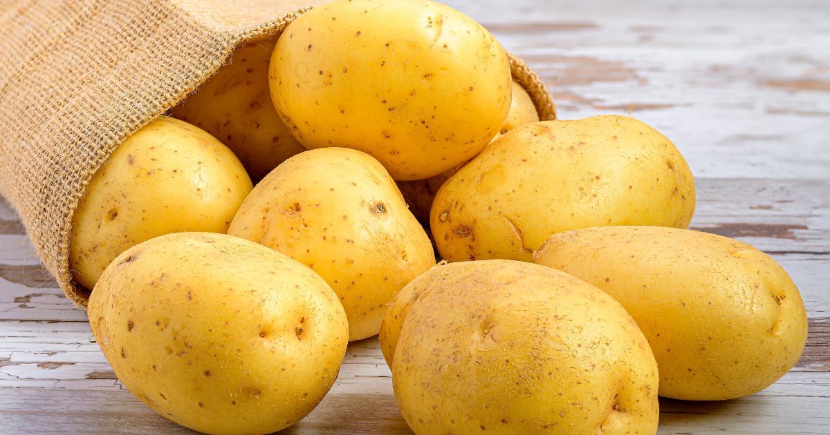 Peuton congeler des pommes de terre