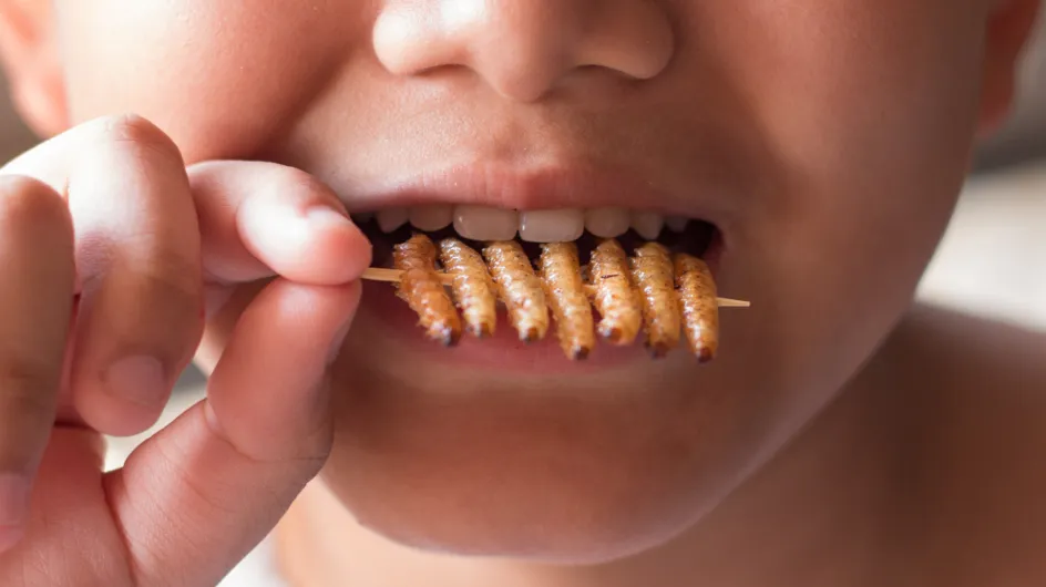 Une maman donne à manger des insectes à sa fille car "ils sont riches en protéines" et s'attire la foudre d'internautes