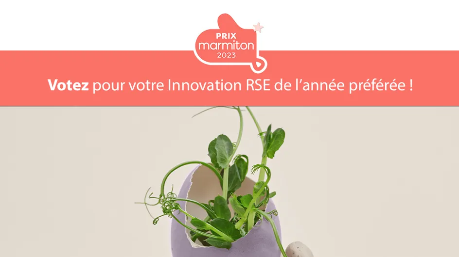 Votez pour votre innovation RSE de l&#039;année préférée !