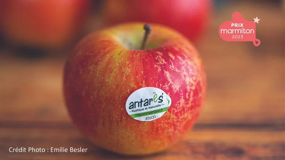 La pomme Antarès®, l’alliance du goût et de la nature