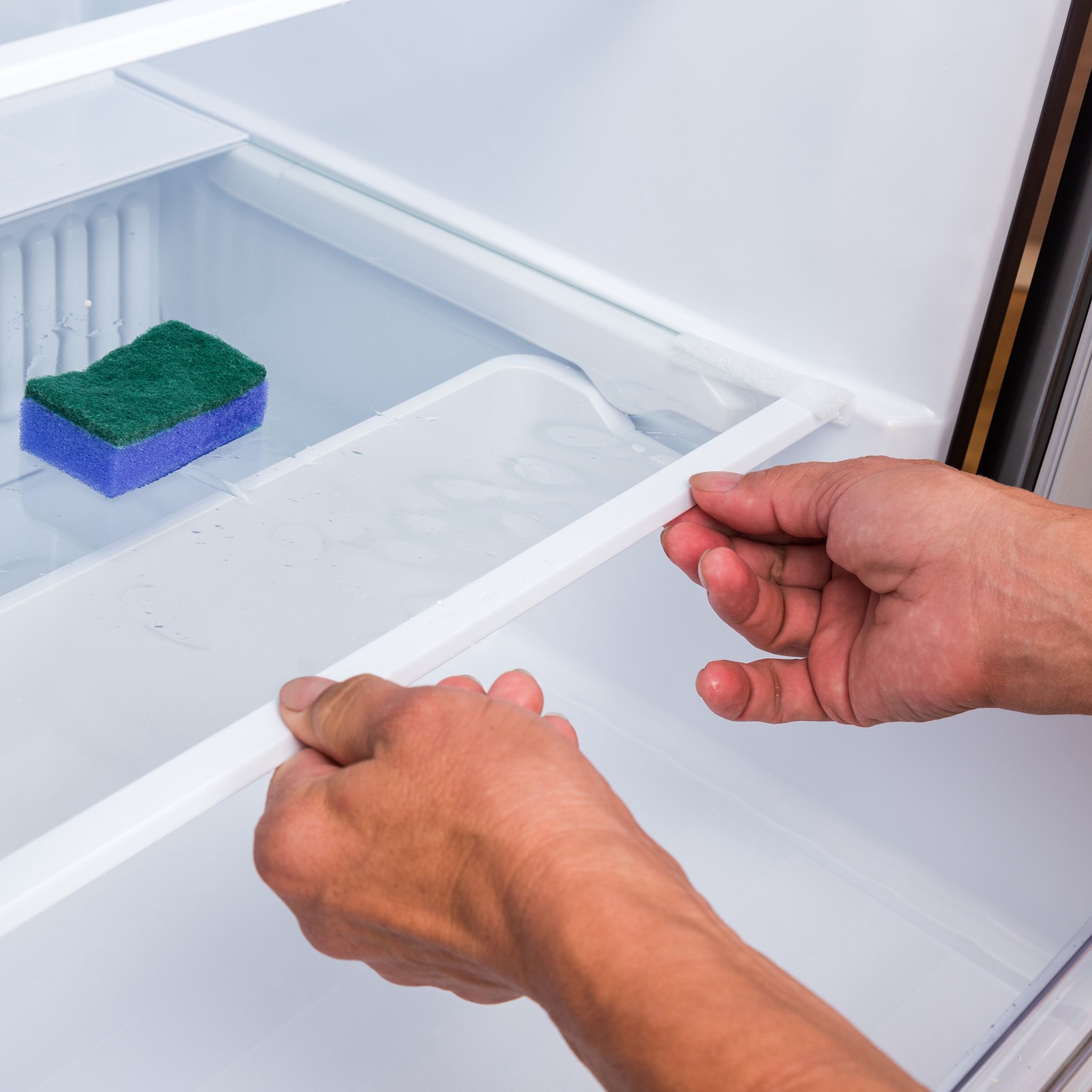 Pourquoi faut-il mettre une éponge au réfrigérateur ?