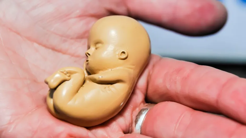 En Italie, des groupes "pro-vie" veulent forcer les femmes à écouter le coeur du foetus battre avant l'IVG