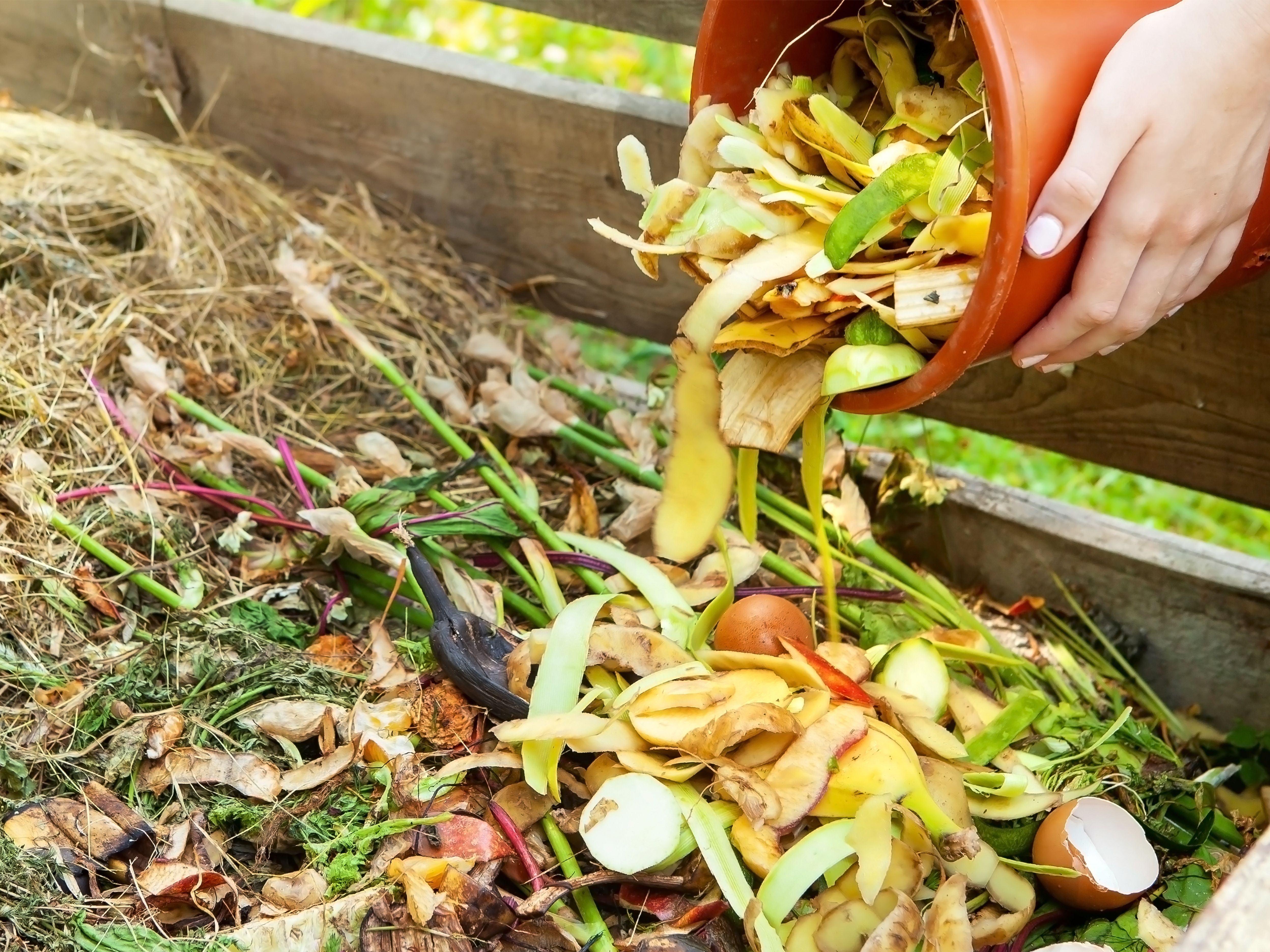 Mes Petites Passions: Ma nouvelle boîte à compost à la cuisine