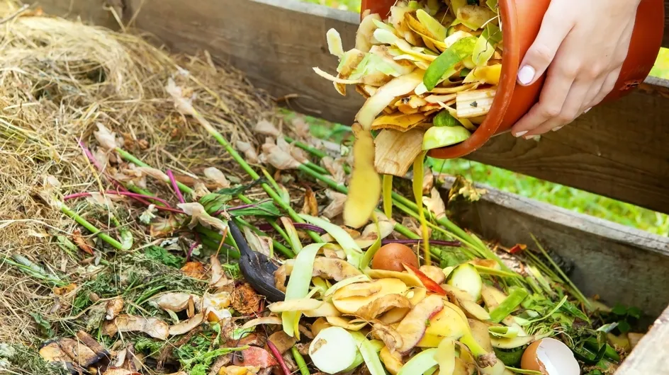 Compost obligatoire : voici les aliments à ne surtout pas mettre dedans