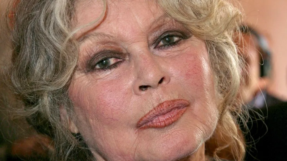 Affaire Delon : "Lamentable", Brigitte Bardot monte au créneau et fustige les enfants de l'acteur