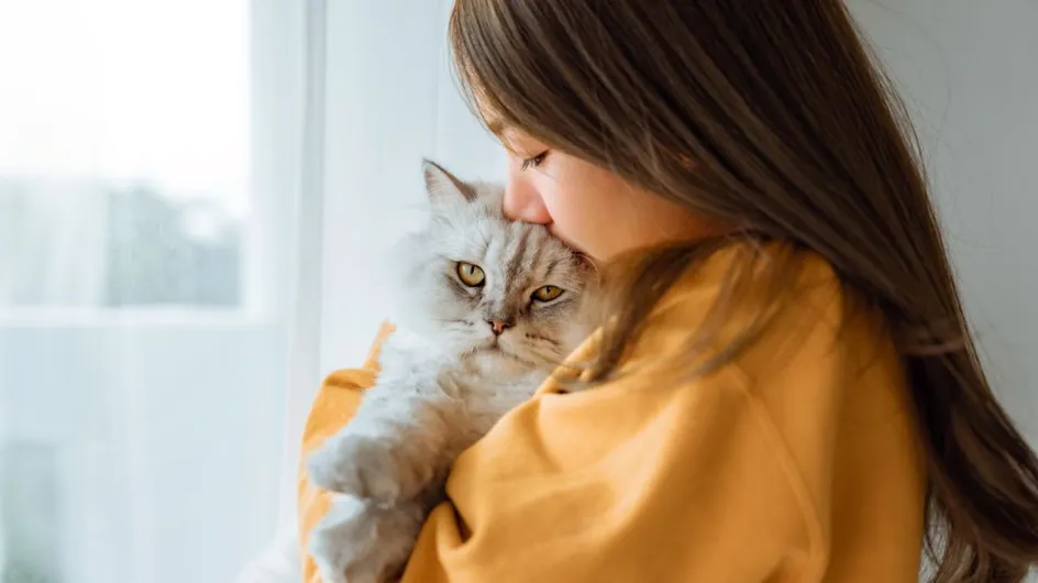 4 choses que détestent les chats, selon un expert (et vous feriez mieux d'en prendre note)