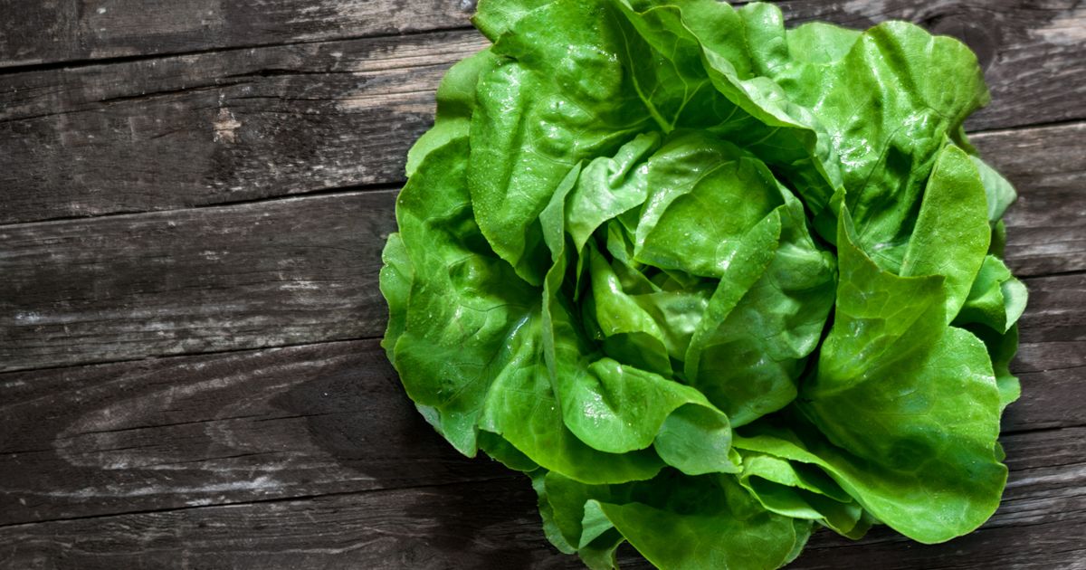 Peuton congeler de la salade