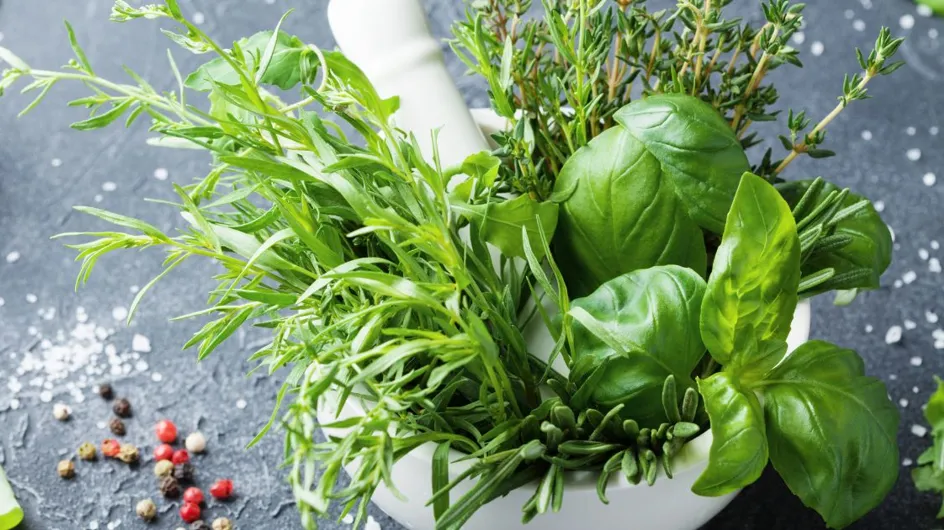 Cette plante aromatique, idéale pour assaisonner vos salades d'été, est à planter en juin (même sur un petit balcon)