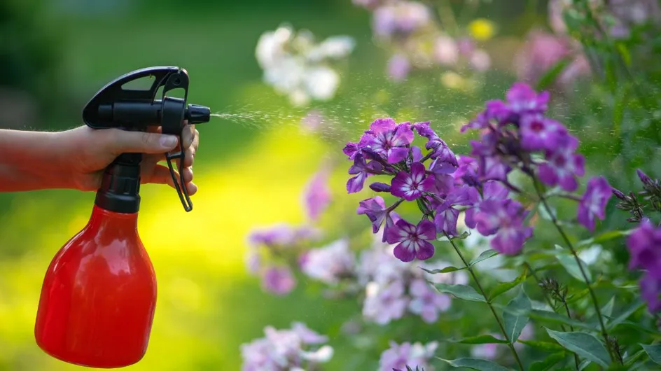 Jardin : cet insecticide polyvalent qui coûte moins de 10 euros est le plus efficace pour éloigner les bêtes