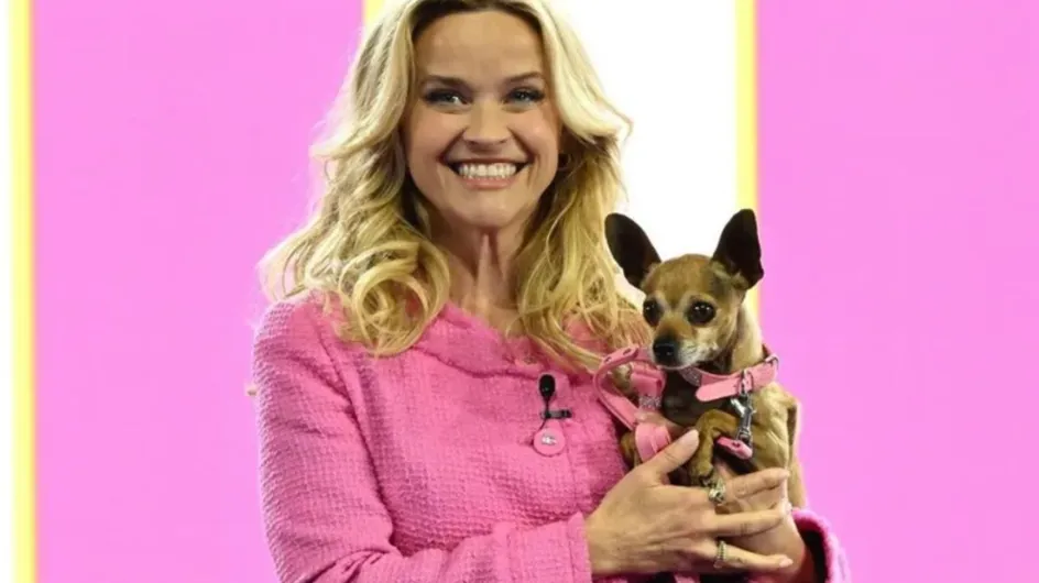 Reese Witherspoon revela la precuela de Legalmente Rubia en Amazon Prime Video: Descubre los orígenes de Elle Woods