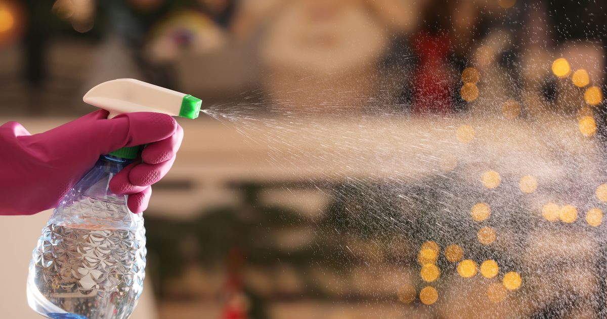 Comment Faire Un Désinfectant Maison Por Poubelle