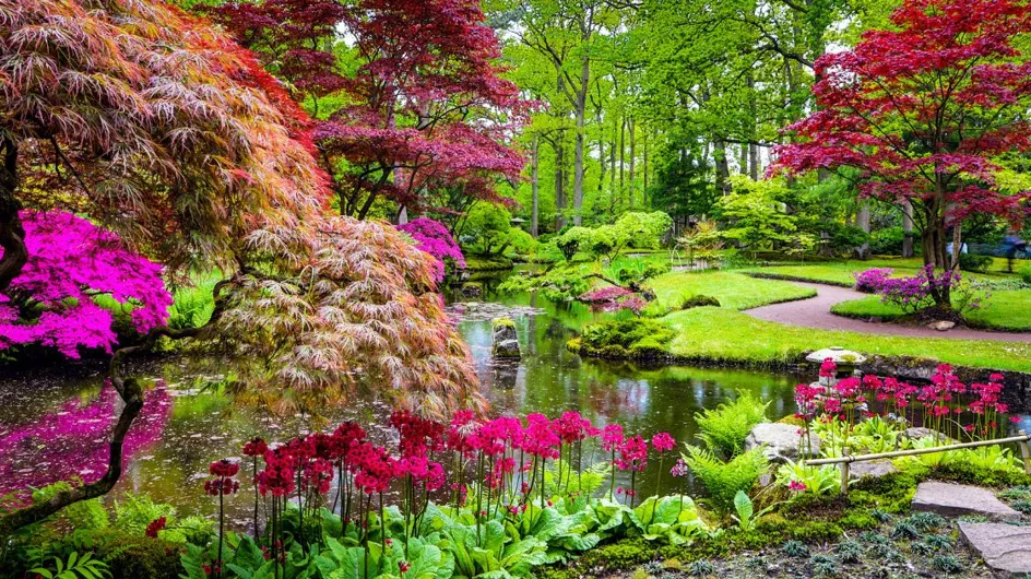 Jardin : voici les 9 associations de fleurs préférées des paysagistes pour un extérieur harmonieux