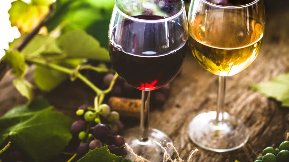 Partez à la découverte des vins de Bergerac-Duras