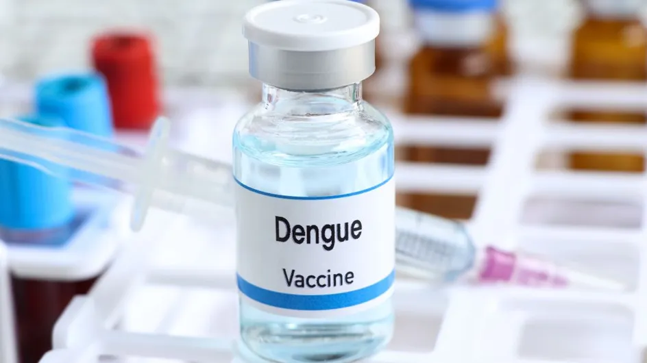 "Je pensais que c'était la grippe", une influenceuse touchée par la dengue décrit ses symptômes