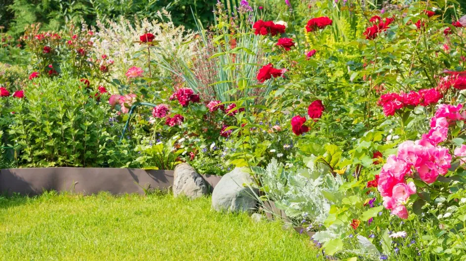 Ces 5 erreurs courantes que vous faites certainement en jardinant (elles pourraient expliquer l'état de votre jardin)