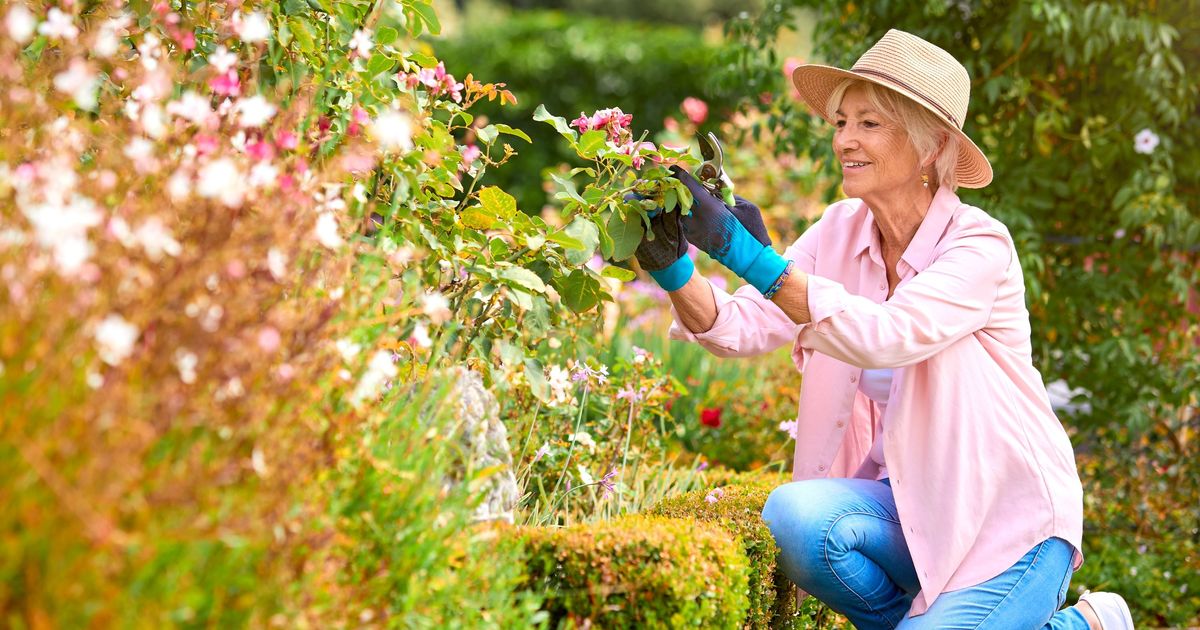 Que Planter Au Jardin En Juillet www.aufeminin.com