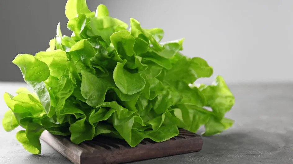 Rappel produit : cette salade vendue chez Leclerc présente des risques pour la santé (présence de Listeria)