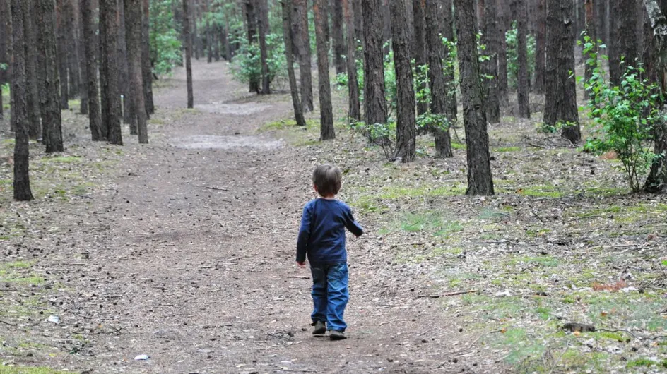 "Il était fatigué et affamé", un enfant de 4 ans se perd en forêt pendant une journée en famille