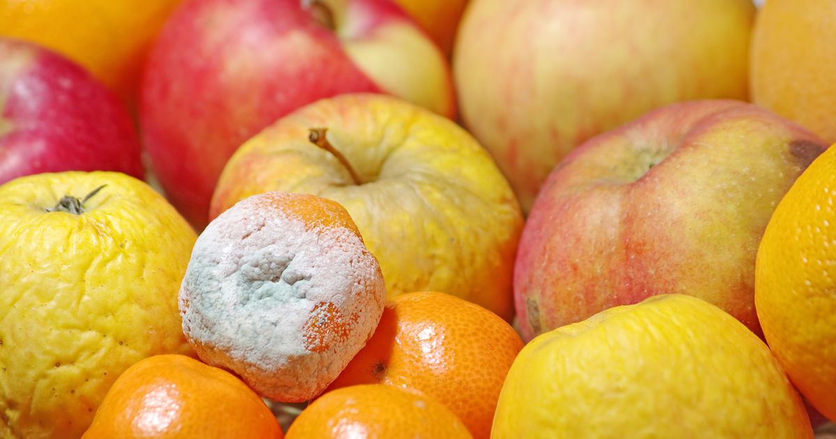 Fruits et légumes moisis voici uniquement ceux que vous pouvez encore