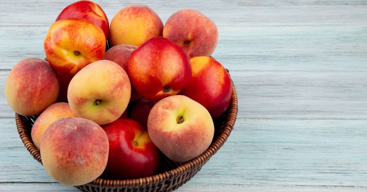 Pêche, brugnon et nectarine