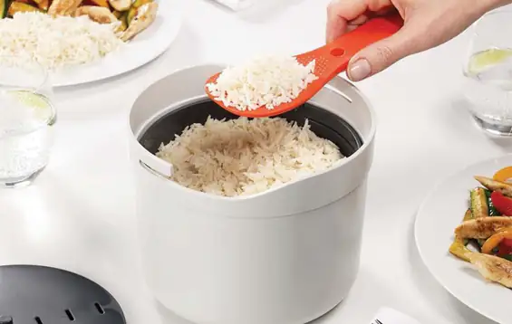 Un Rice Cooker Rice cooker : nos délicieuses recettes de rice cooker
