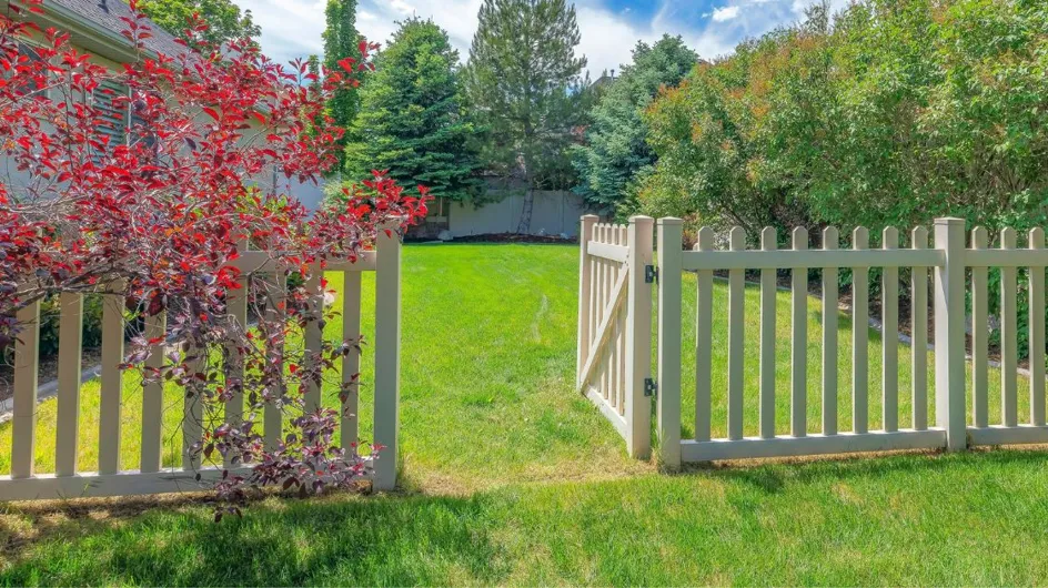 Jardin : voici pourquoi vous devriez percer des trous dans votre clôture cet été