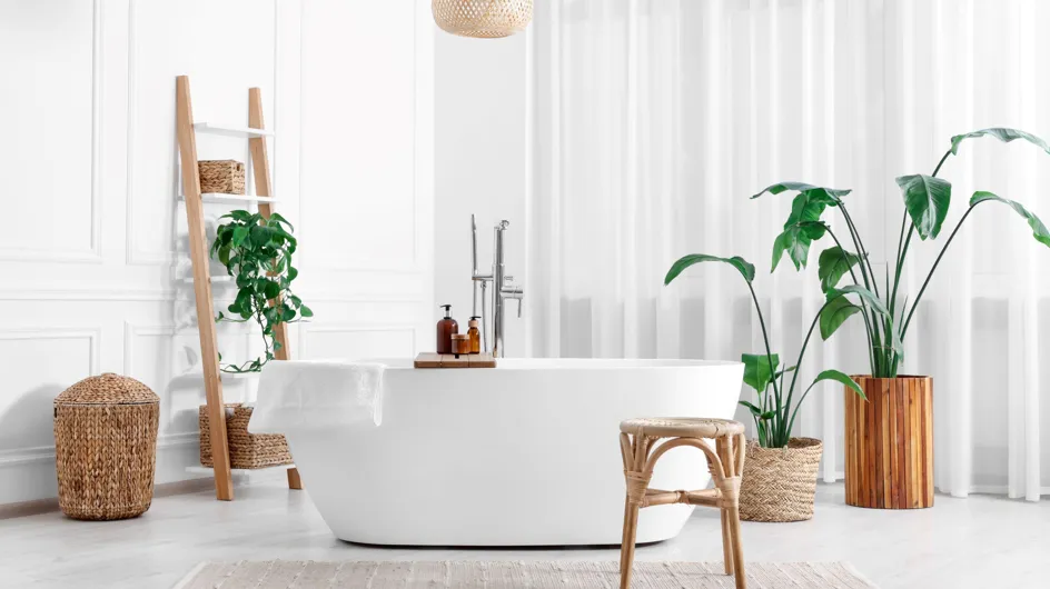 Quelles sont les meilleures plantes à mettre dans sa salle de bain ?