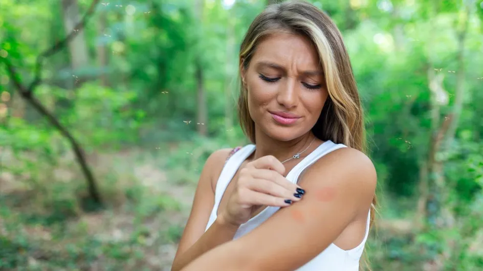 Voici une technique naturelle pour lutter contre les piqures de moustiques (on n'y aurait pas pensé)