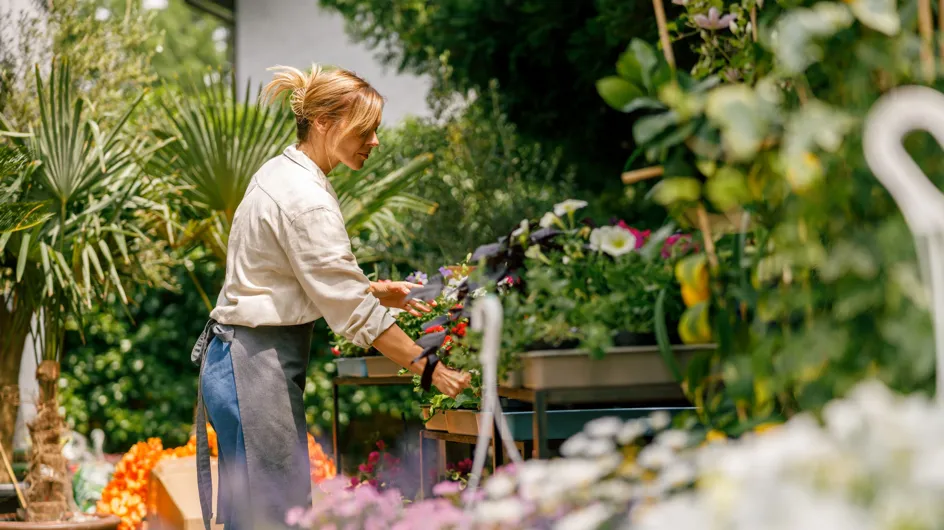 Fleurs, plantes aromatiques, légumes, fruits... que faut-il planter au mois d'août ?