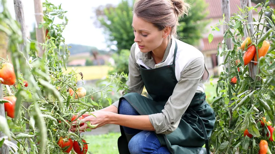 Je suis le jardinier du Roi Charles III et voici les tâches à accomplir cet été pour préparer votre jardin à l'automne