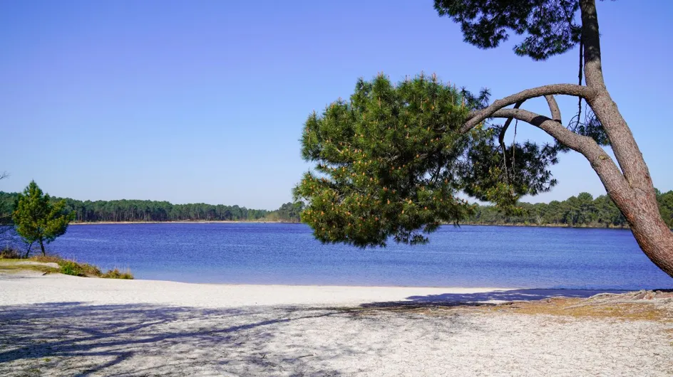Ce lac entouré de sable blanc, à moins d'1 heure de Bordeaux, fait oublier l'Océan le temps d'une journée