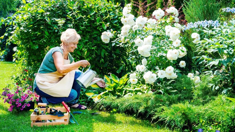 Jardin : cette erreur courante à éviter lorsqu'on choisit son arrosoir