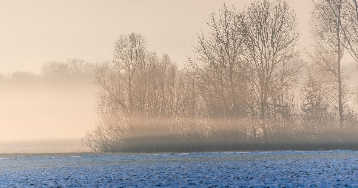 「平野では最大-5度」、雪の有無にかかわらず3月の最初の週末の予測はありますか？