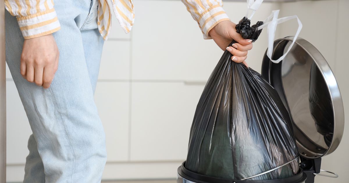 Un microbiologiste met en garde contre ces poubelles pas du tout hygiéniques qui favorisent les bactéries