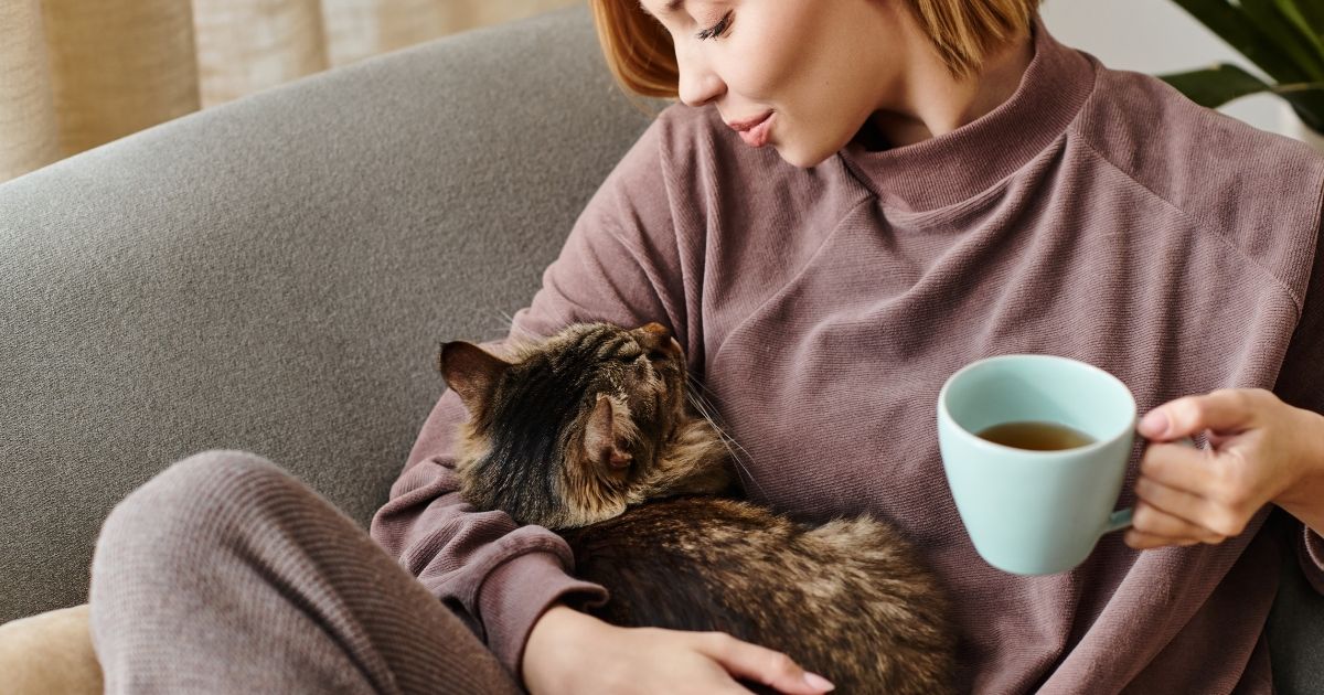 Votre chat dort sur vous ? Voici ce qu'il essaie de vous dire (il vous transmet un message)