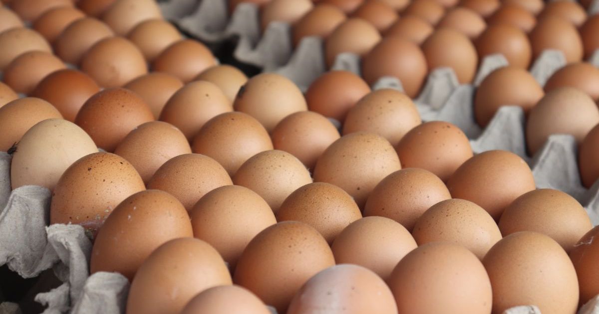 Voici pourquoi les œufs ne sont jamais conservés au frais dans les supermarchés en France