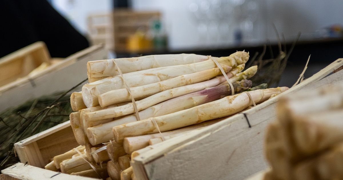 Asperges : ces productrices des Landes partagent leurs conseils pour les choisir, les conserver et les préparer