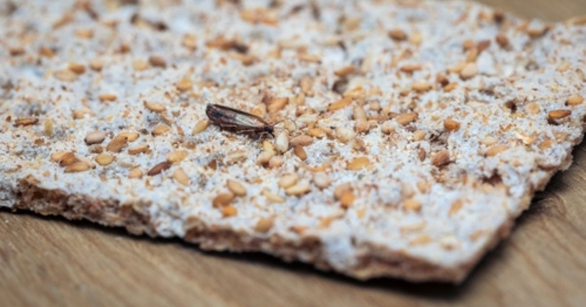 Cette très mauvaise habitude favorise le développement des mites alimentaires dans la cuisine