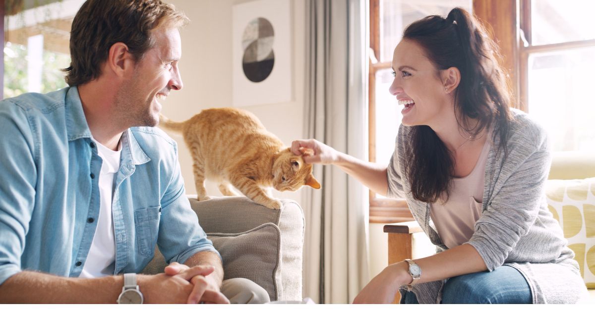 Mauvaise nouvelle pour les propriétaires de chats domestiques cette interdiction imminente pourrait tout changer