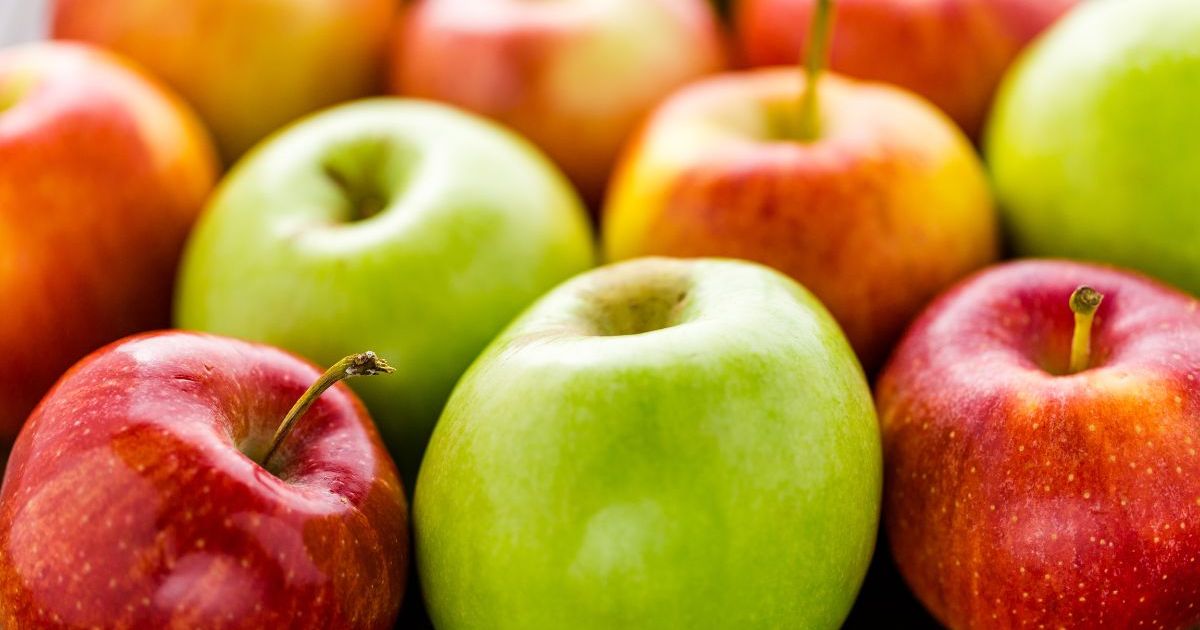 La science perce le mystère : voici pourquoi les pommes flottent dans l’eau contrairement aux autres fruits
