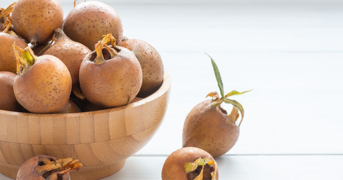 Connaissez-vous la nèfle ? Ce fruit originaire du Japon qu’on trouve de plus en plus en supermarché