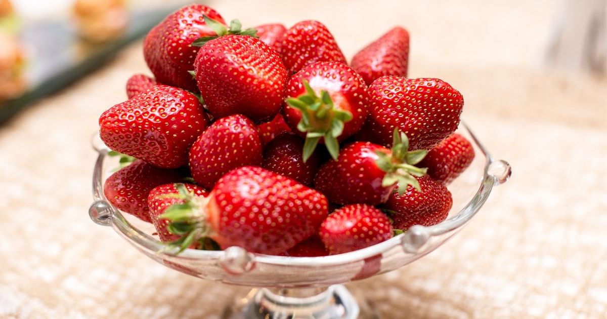 Pas de frigo ou à l'air libre, les fraises se conservent ici selon les maraîchers