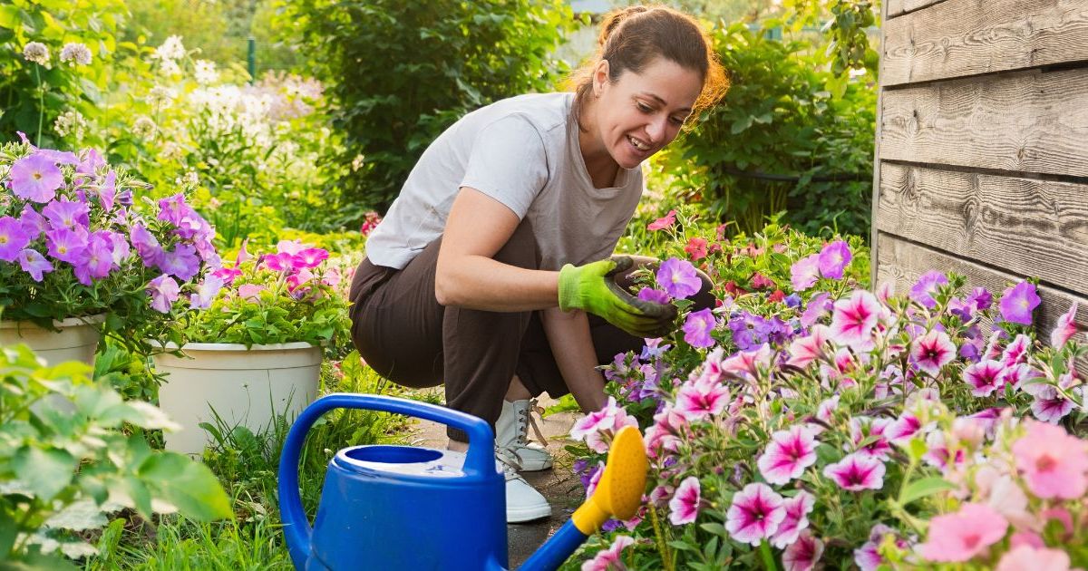Jardin : fini les limaces qui saccagent le potager, voici 6 astuces naturelles pour les éloigner pour de bon