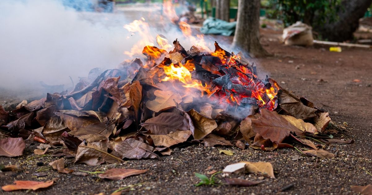 Feuilles, branches, herbe… Cette lourde amende que vous risquez si vous brûlez vos déchets verts dans votre jardin !
