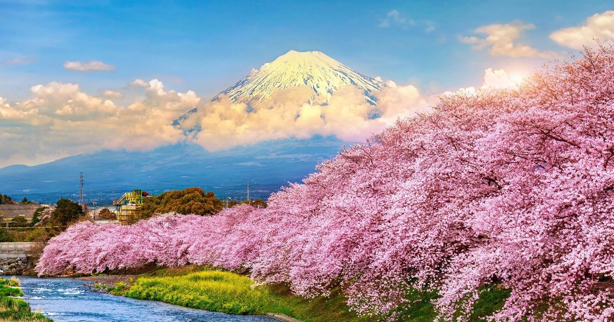 La BabaVanga du Japon prédit une catastrophe climatique, voici la date précise (des touristes ont annulé leurs vacances)