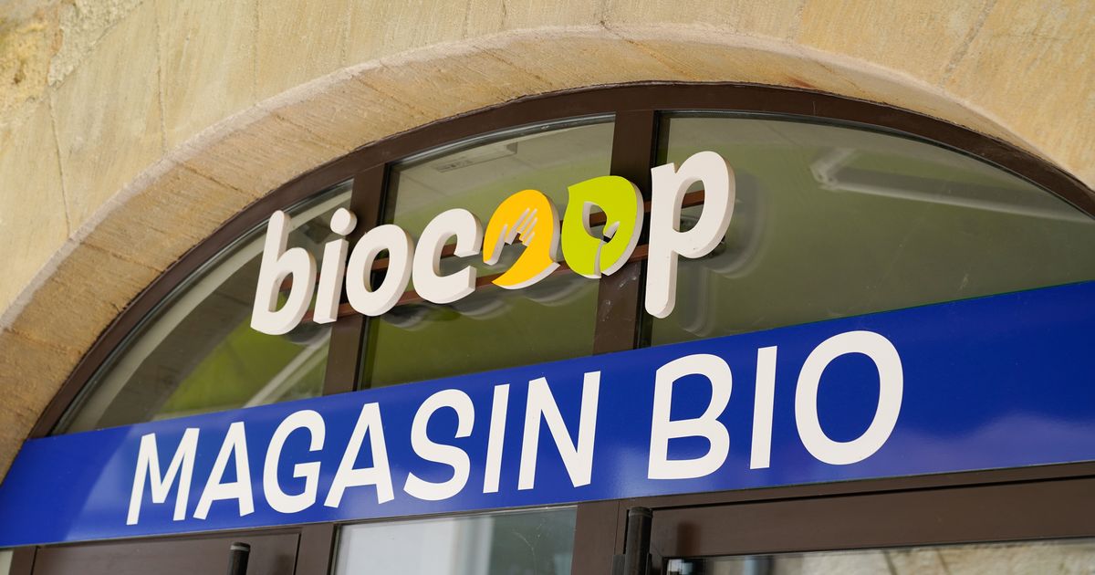 Voici le meilleur jour pour faire vos courses chez Biocoop et réaliser des économies