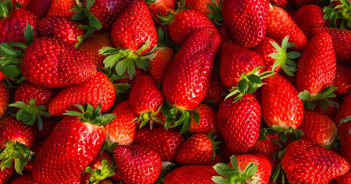 Rappel produit dans toute la France en raison de fraises contaminées par des pesticides